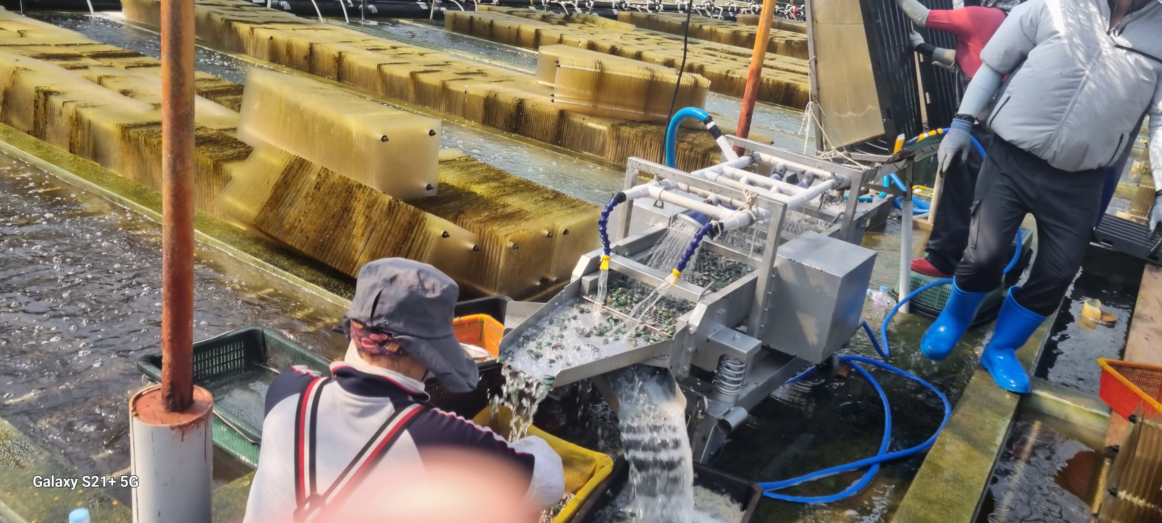 21세기수산 양식장 전경