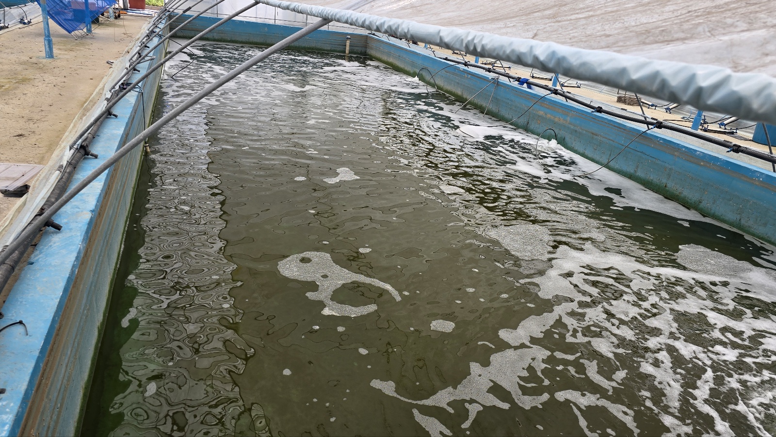 대형 노지 저수지