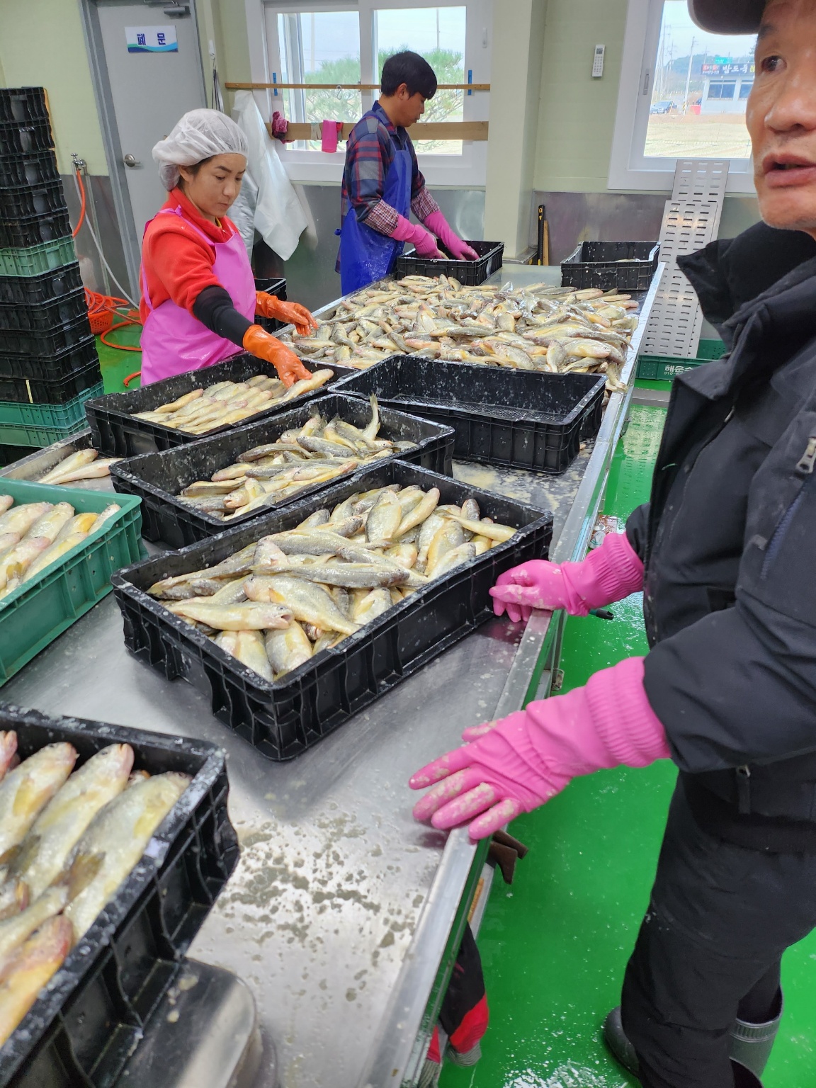 신성영어조합 양식장 전경