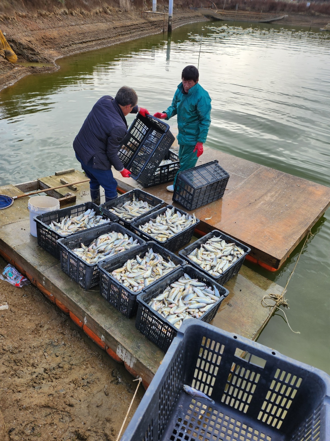 초대형 실내 수조