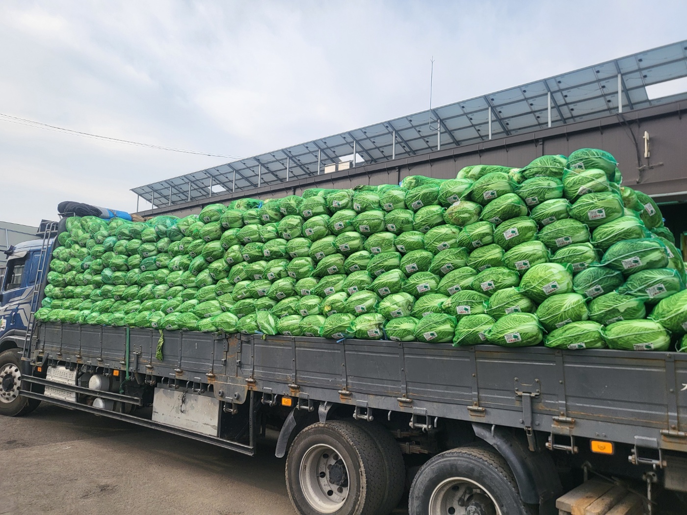 계약재배 농산물