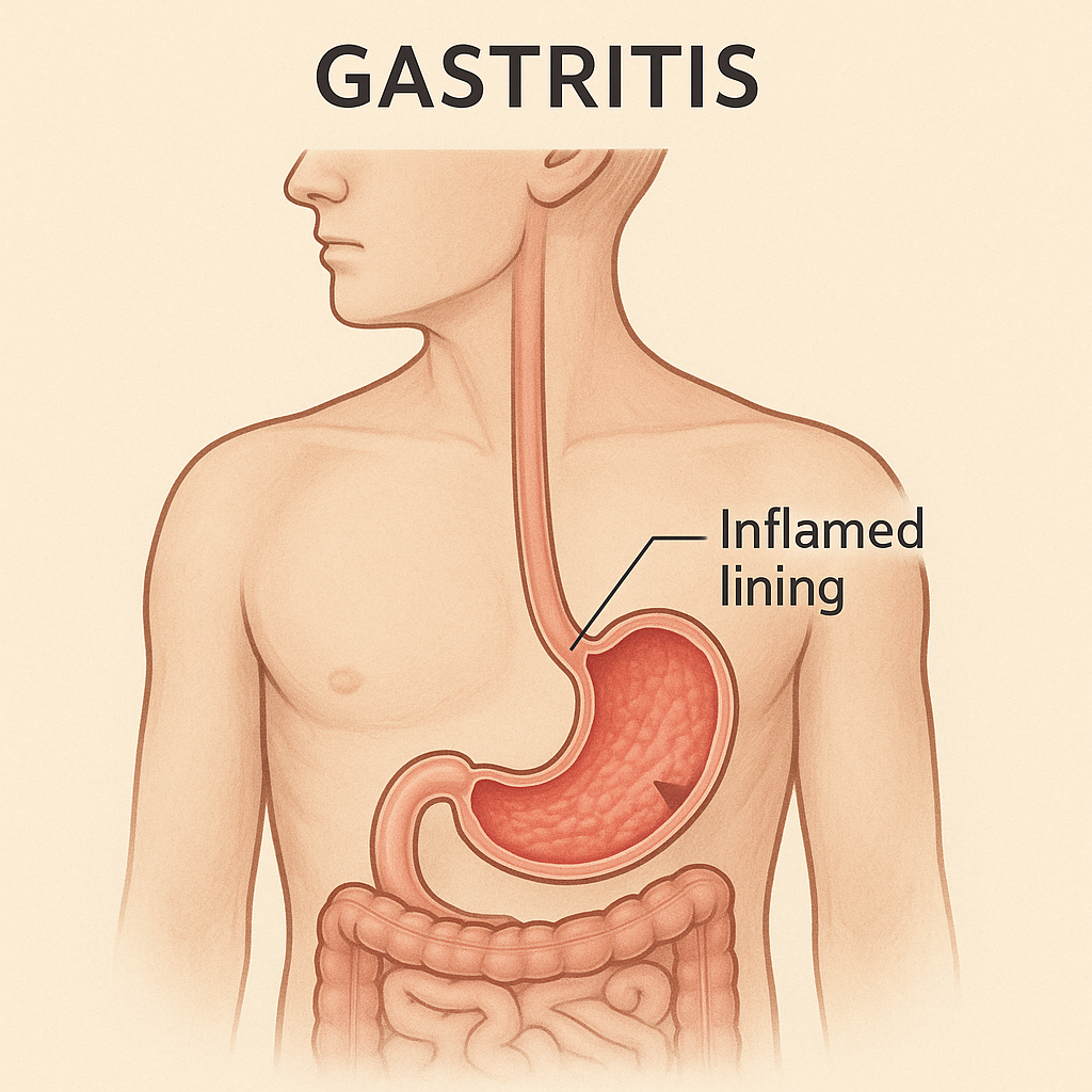 人体主要微生物群落分布图示
