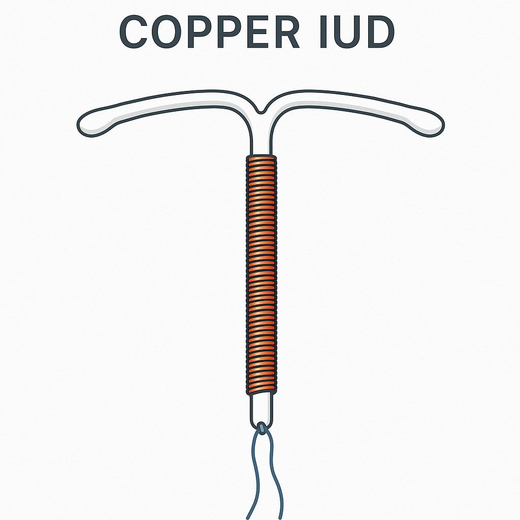 Copper IUD Structure Diagram