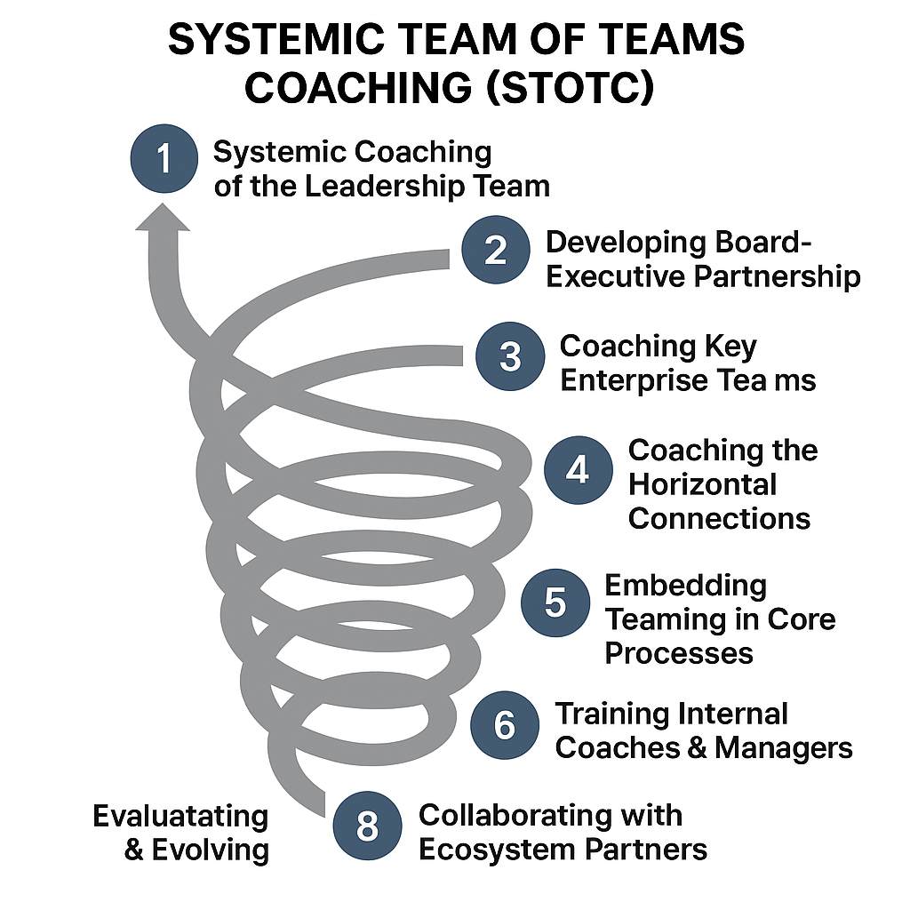 Systemic Team of Teams Coaching Journey